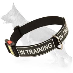 German Shepherd Nylon Dog Collar With ID Patches