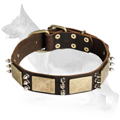 German Shepherd Leather Dog Collar Brass Plates 3 Spikes