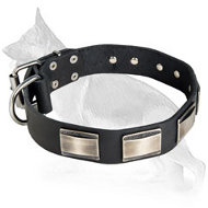 German Shepherd Leather Dog Collar Rusty Plates Deluxe