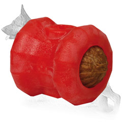 Treats dispenser for German Shepherd