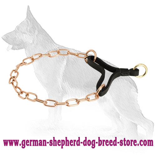 Noiseless Dog Collar Noiseless Dog Collar