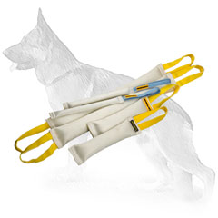 Fire Hose Dog Training Set