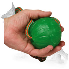 Special rubber chew ball for training and playing