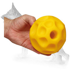 Safe and durable toy for treats and kibbles dispensing
