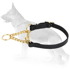 Martingale Dog Collar of Leather and Brass