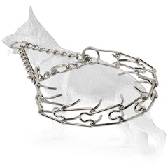 German Shepherd Pinch Collar for Obedience Training