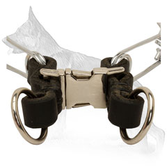 Chrome Plated Collar for Obedience Training