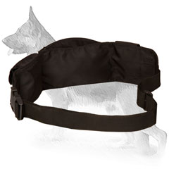 Nylon Dog Pouch with Adjustable Waist Strap