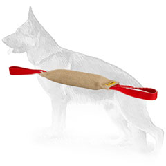 Dog-safe Jute Bite Tug