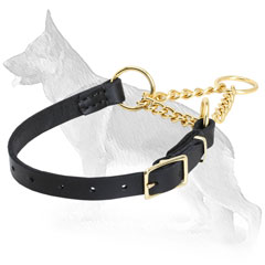 Martingale Style Dog Collar Made of Leather