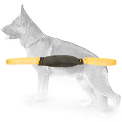 Leather Bite Tug for Retrieve and Drive Training