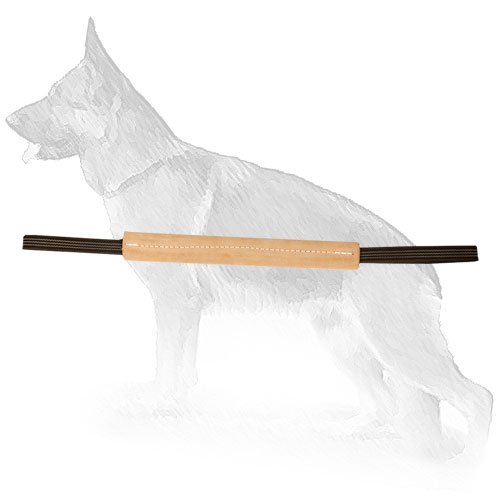 Leather Pocket Bite Tug for Training Puppies