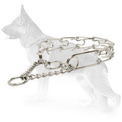 Stainless Steel Pinch Collar 