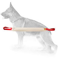 Huge and Extra Strong Bite Tug With Handles Made of Fire Hose