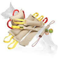 All in One Jute Bite Set (6 Bite Tugs) and 3 Exquisite Gifts (value $24.2)