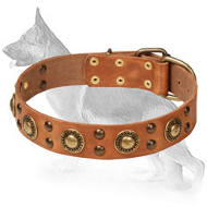 Mighty Space-like Adorned Leather Collar for German Shepherd