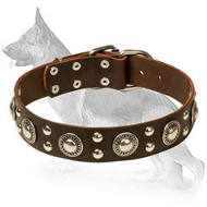 Deluxe Rock n Roll Leather Collar with Silver like Decor
