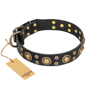 'Baroque Chic' FDT Artisan Studded Black Leather German Shepherd Dog Collar