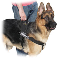 Super Strong Nylon Multipurpose Harness
