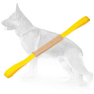 Puppy Pocket Leather Tug with Handles