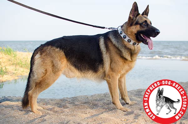 Adorned with Shiny Conchos White Leather Collar