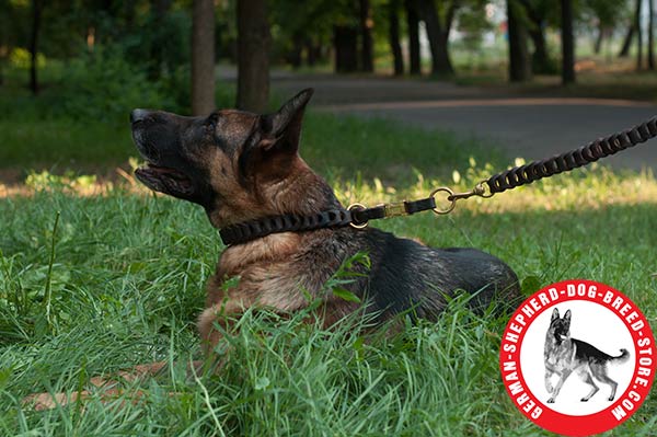 Leather German Shepherd Collar Braided Design