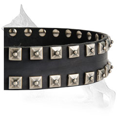 Decorations on Leather German Shepherd Collar 