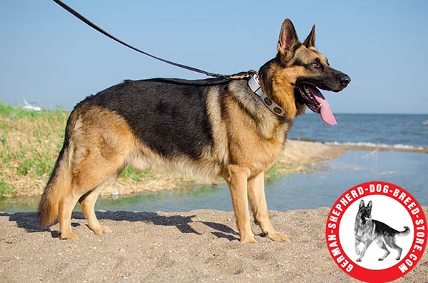 Extraordinary White Leather Collar for German Shepherd