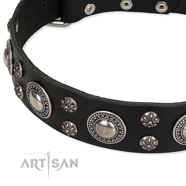 Adjustable leather dog collar with almost unbreakable non-rusting fittings