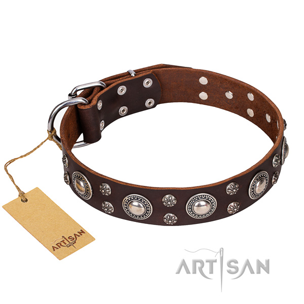 Dependable leather dog collar with corrosion-resistant details