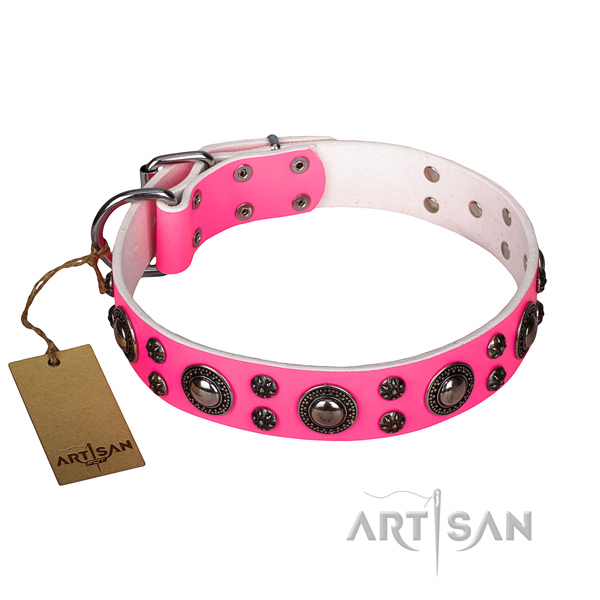 Unusual full grain leather dog collar for everyday use