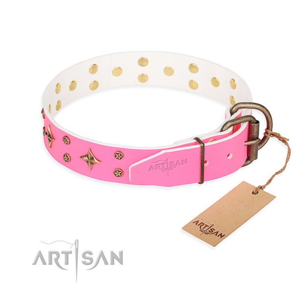 Daily use full grain natural leather collar with embellishments for your four-legged friend