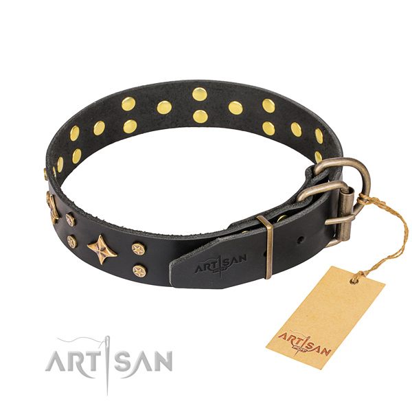 Trendy full grain leather dog collar for stylish walking