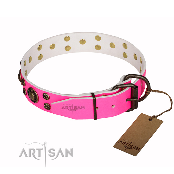 Incredible full grain genuine leather dog collar for stylish walking