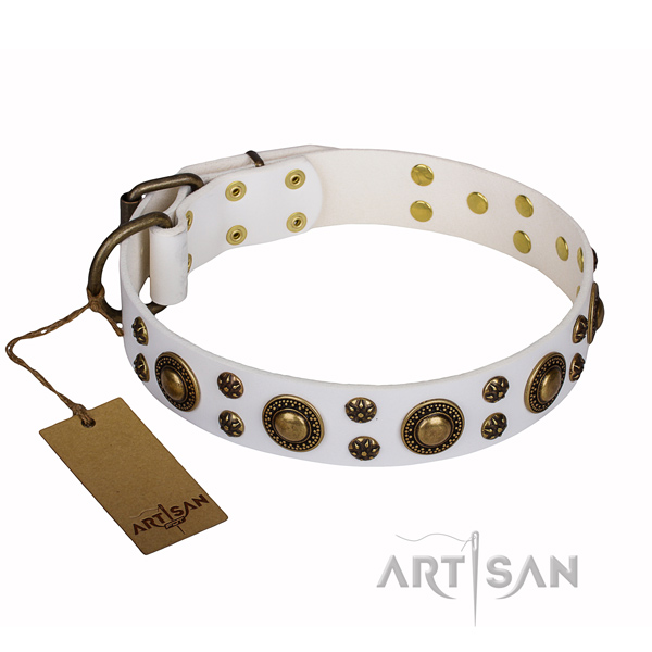 Fashionable genuine leather dog collar for handy use