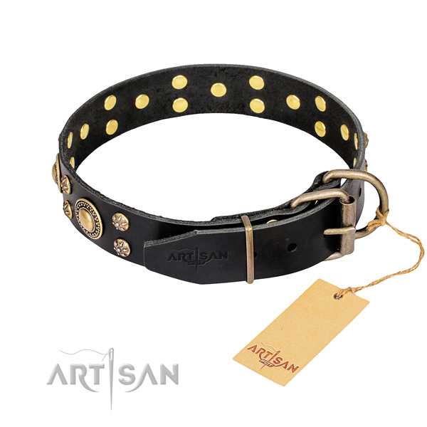 Stylish walking full grain natural leather collar with embellishments for your four-legged friend