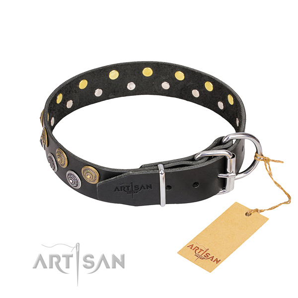 Walking full grain natural leather collar with studs for your dog