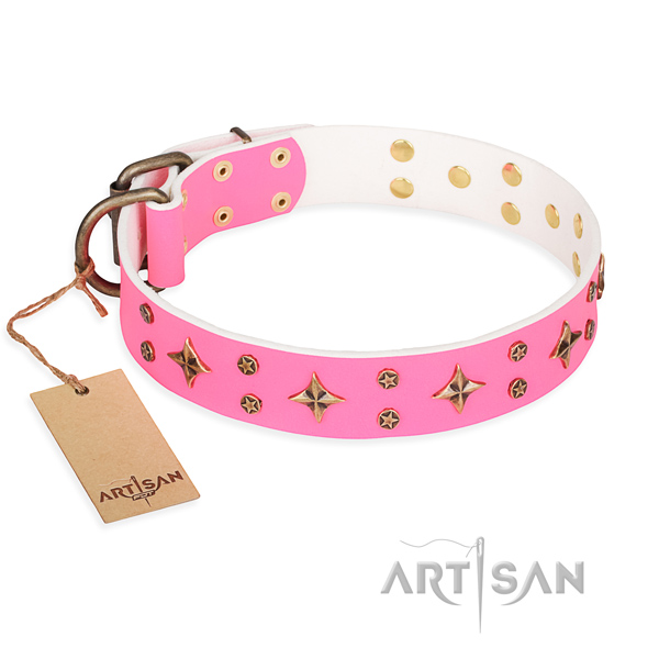Top notch full grain natural leather dog collar for walking