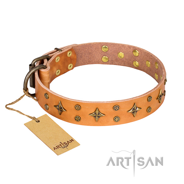 Unusual full grain natural leather dog collar for daily walking