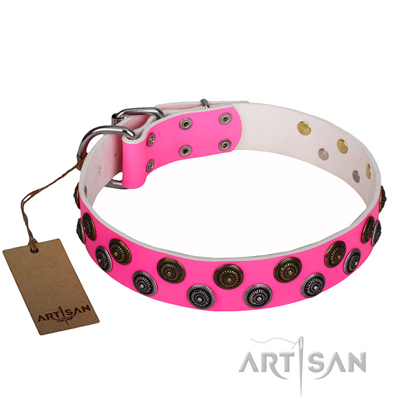 Extraordinary natural genuine leather dog collar for walking