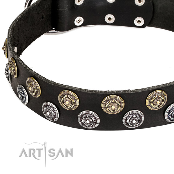 Natural genuine leather dog collar with significant adornments