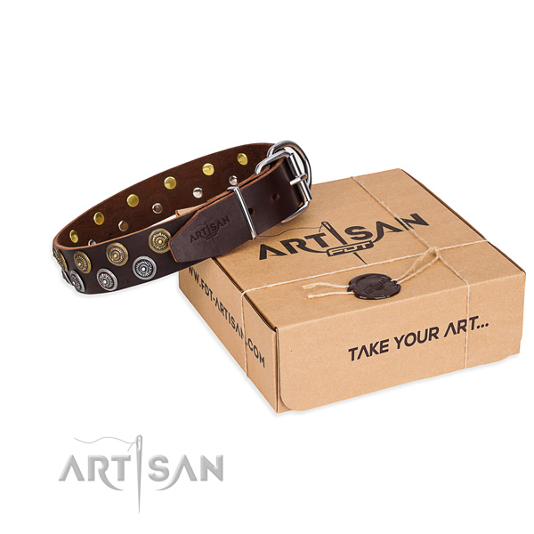 Full grain genuine leather dog collar with adornments for daily use