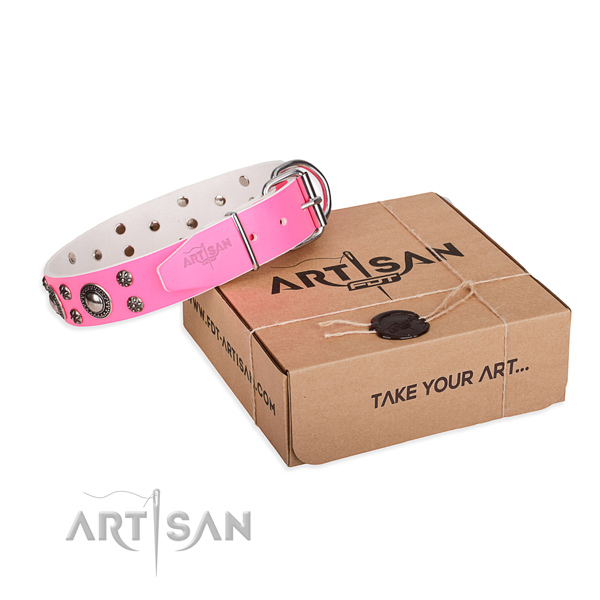Stylish full grain natural leather dog collar for daily walking