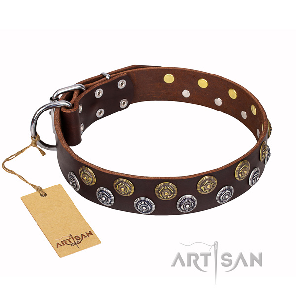 Exceptional natural genuine leather dog collar for walking