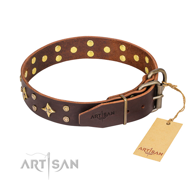 Daily walking full grain genuine leather collar with adornments for your canine