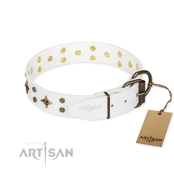 Stylish walking leather collar with adornments for your pet