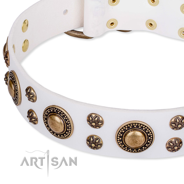 Leather dog collar with extraordinary decorations