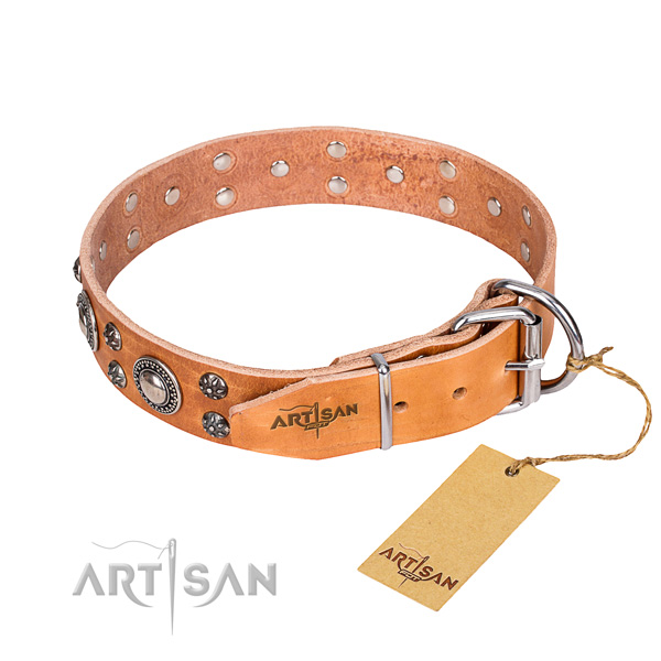 Everyday use full grain genuine leather collar with embellishments for your dog