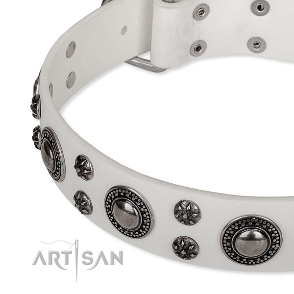 Stylish walking full grain genuine leather collar with rust resistant buckle and D-ring