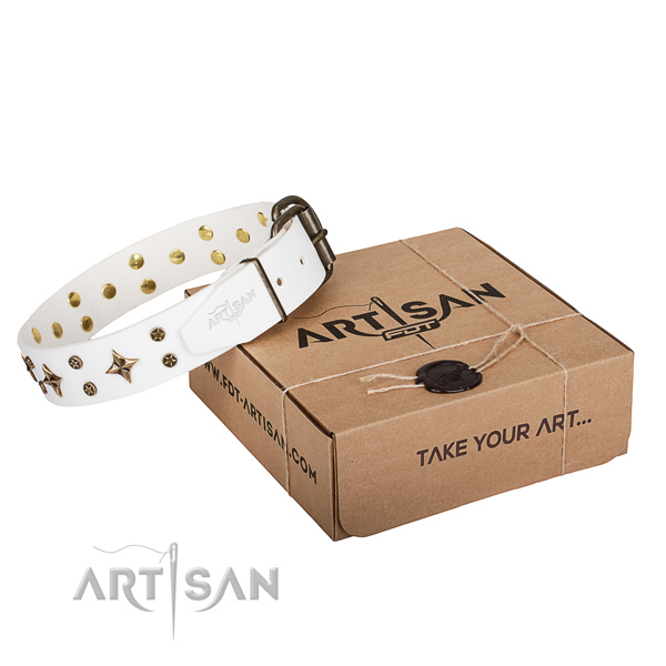 Adorned full grain natural leather dog collar for stylish walks
